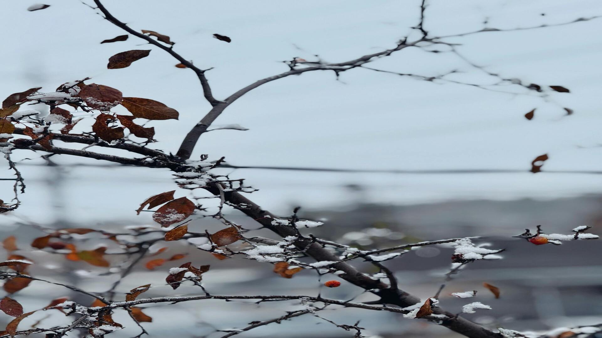 Winter Survival Guide: How to Handle Canadian Weather 
