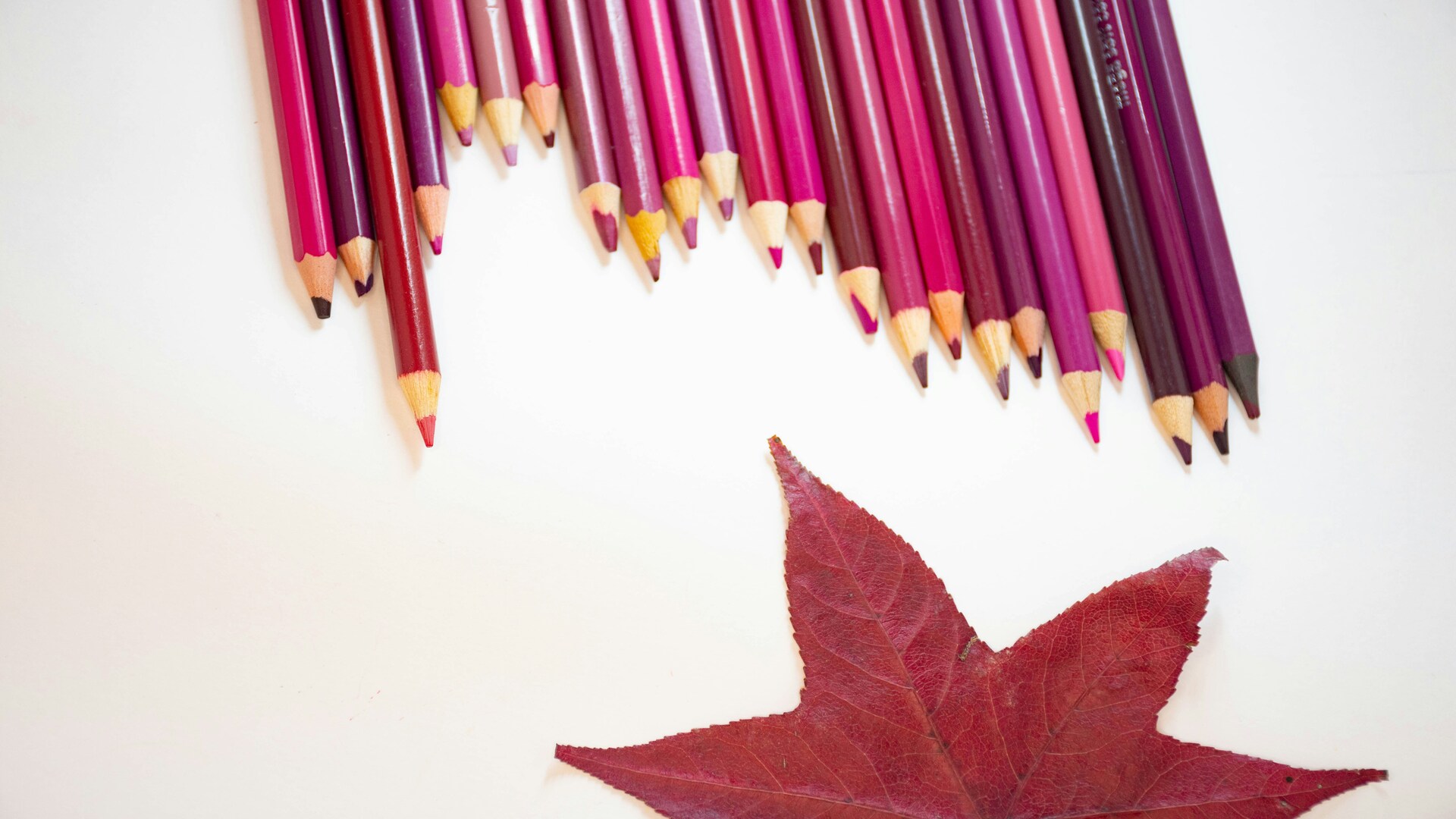 Popular Part-Time Jobs for Students in Canada